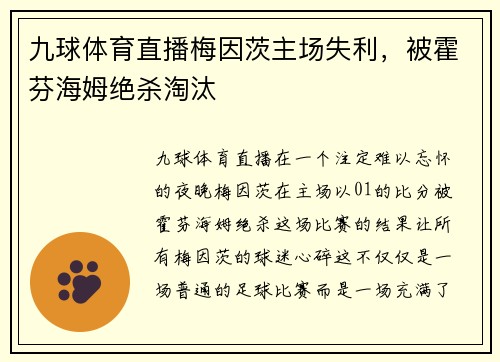 九球体育直播梅因茨主场失利，被霍芬海姆绝杀淘汰